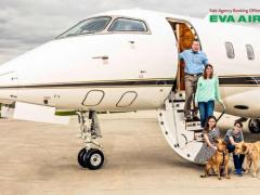 Gửi thú cưng trong khoang hàng hóa EVA Air: An toàn không?